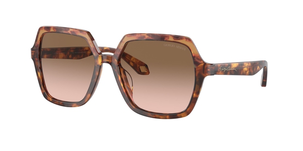 ARMANI-8193U/S 603351 ORANGE HAVANA/RED HAVANA(BROWN GRADIENT 55*17, Havana, hi-res 0