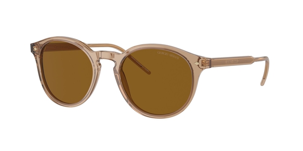 armani-8211/s 607233 trasparent brown(brown 52*20