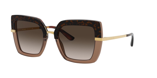 GABBANA-4373/S 325613 TOP HAVANA ON TRANSP BROWN(BROWN GRADIENT 52*21, Marrón-Negro, hi-res 0