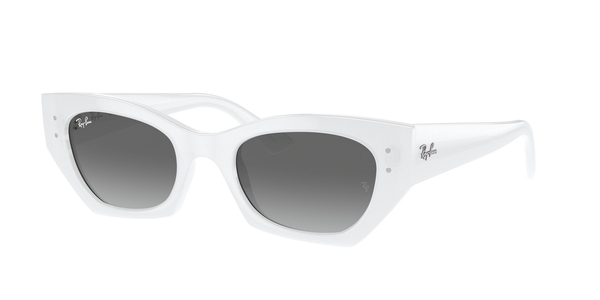 RB-4430 675911 WHITE SNOW(GREY GRADIENT 49*22, Blanco, hi-res 0