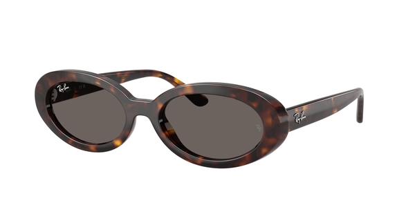 ray-ban rb 2223