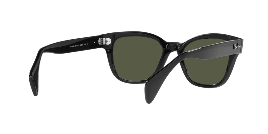 RB-0880S 901/31 BLACK(GREEN 52*19, Negro, hi-res image number 5