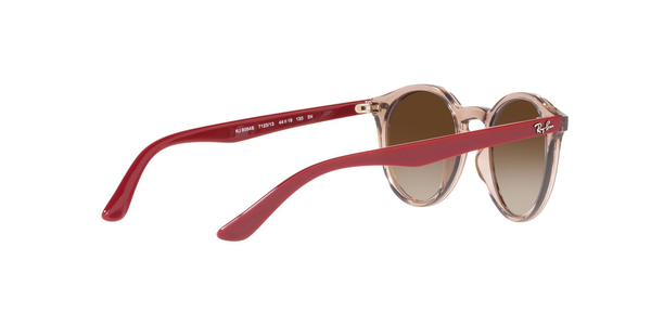 RJ-9064S 712313 TRASPARENT BROWN(GRADIENT BROWN 44*19, Transparente, hi-res 4