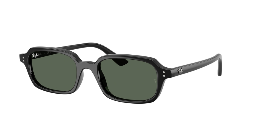 RB-4455 667771 BLACK(DARK GREEN 52*19, Negro, hi-res image number 0