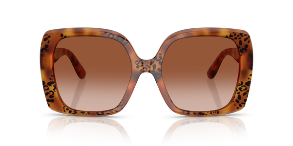 GABBANA-4475/S 338013 HAVANA LEO(BROWN GRADIENT 56*19, Havana leopardo, hi-res 1