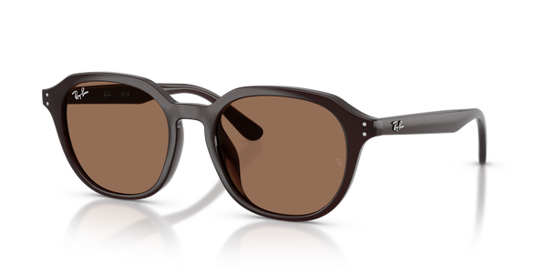 RB-4459D 6231/73 BROWN 54*19, Marr&oacute;n &oacute;palo, hi-res 0
