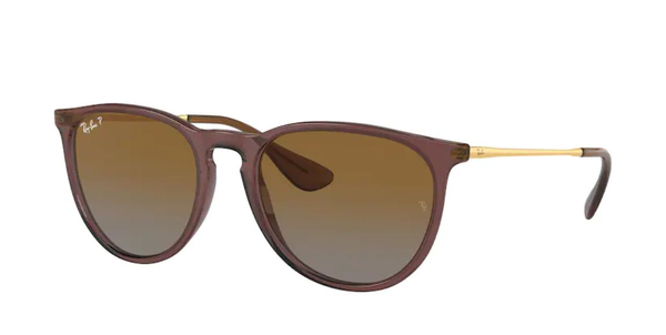 RB-4171 6593T5 TRANSPARENT DARK BROWN(GRADIENT BROWN POLAR 54*18, Marron, hi-res 0