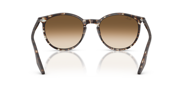 RB-2204 143151 HAVANA YELLOW TURTLE(CLEAR GRADIENT BROWN 51*20, Havana - Amarillo, hi-res 3