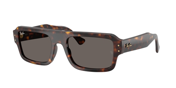 ray-ban rb-4454