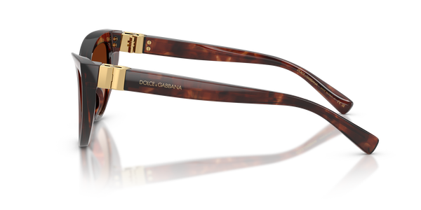 GABBANA-4497/S 322274 DARK RED HAVANA(BROWN GRADIENT 52*18, Burdeos Havana, hi-res 2