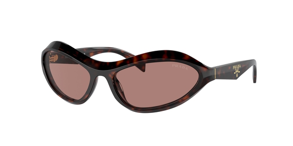 prada-a20s/s 17n10d root tortoise(light brown 61*17