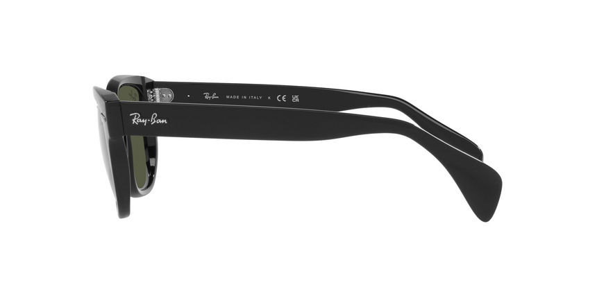 RB-0880S 901/31 BLACK(GREEN 52*19, Negro, hi-res image number 9