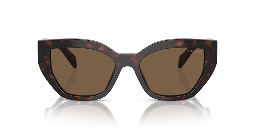 PRADA-A09S/S 16N5Y1 BROWN 53*18, Carey de brezo, hi-res image number 1