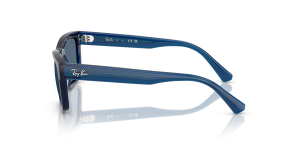 RJ-9196S 719080 TRANSPARENT BLUE(DARK BLUE 49*17, , hi-res 2