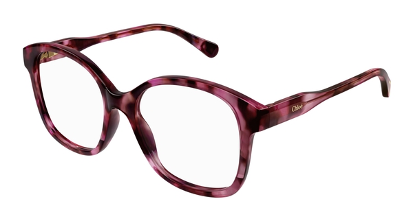 CHLOE-CC0013O/G 006 HAVANA-HAVANA-TRANSPARENT 48*16, Havana | Rosa, hi-res 0