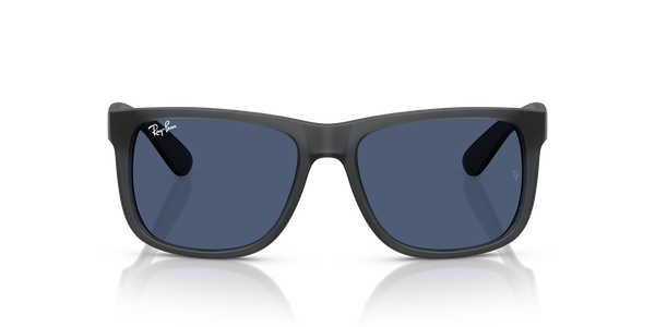 RB-4165 687380 OPAL GREY(DARK BLUE 55*16, Gris, hi-res 1