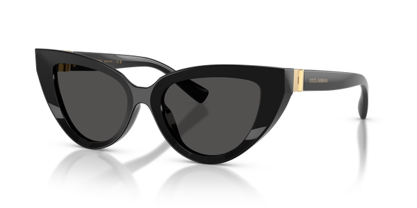 gabbana-4497/s 501/87 black (black) 52*18