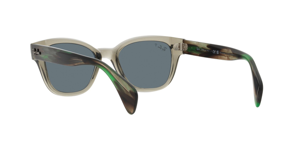 RAY-BAN RB 0880S 66353R, , hi-res 7