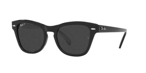 RB-0707S 901/48 BLACK(POLAR BLACK 53*21, Negro, hi-res 0