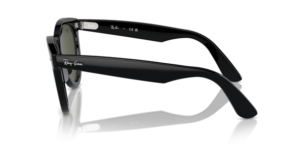 RB-2241 901/31 BLACK(GREEN 54*21, Negro, hi-res 2