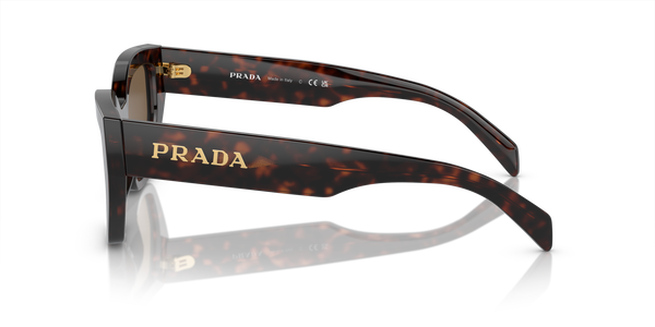 PRADA-A09S/S 16N5Y1 BROWN 53*18, Carey de brezo, hi-res 2