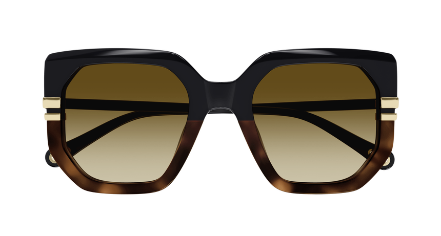 CHLOE-0240S/S 003 BLACK (BROWN) 53*23, Negro | Havana, hi-res image number 1