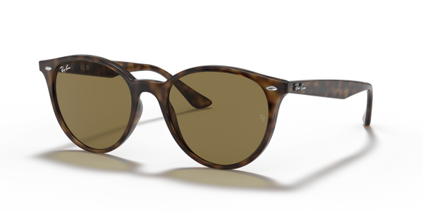 RB-4305 710/73 HAVANA(DARK BROWN 53*19, Havana claro, hi-res 0