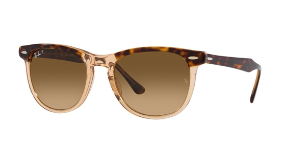 RB-2398 1292M2 HAVANA ON TRANSPARENT BROWN(GRADIENT BROWN POLAR 53*21, Havana|Marrón, hi-res 0