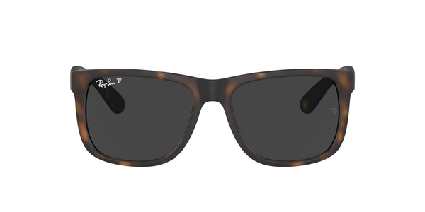 RB-4165 865/87 RUBBER HAVANA(DARK GREY POLAR 55*16, Havana, hi-res 1