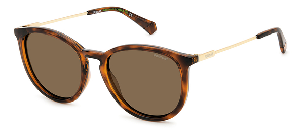 POLAROID-4143/S/X/S 086*SP HAVANA(BRONZE POLARIZED 53*18, Havana, hi-res 0