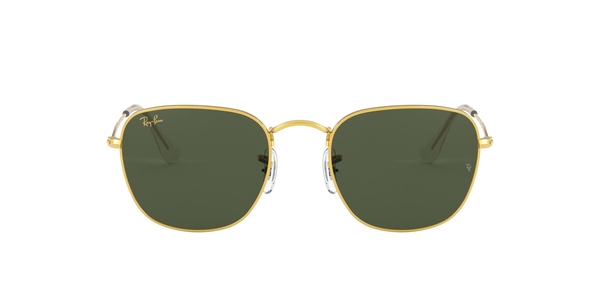ray-ban frank rb 3857