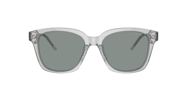 armani-8210u/s 608056 trasparent grey(blue 52*18