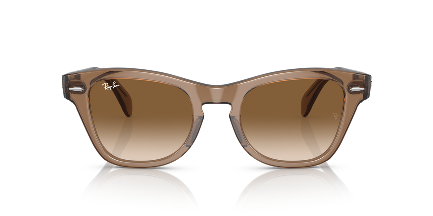 RB-0707S 664051 TRANSPARENT LIGHT BROWN(CLEAR GRADIENT BROW 53*21, Marron, hi-res image number 1