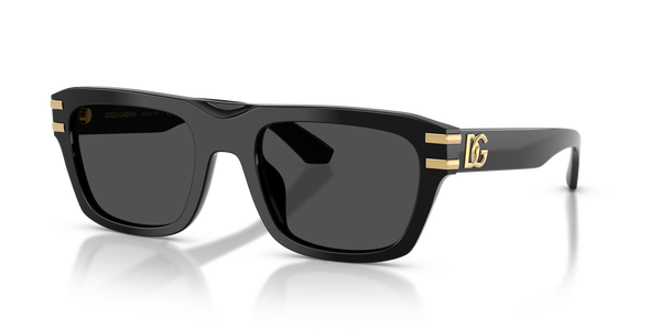 gabbana-4496/s 501/87 black(dark grey 54*21