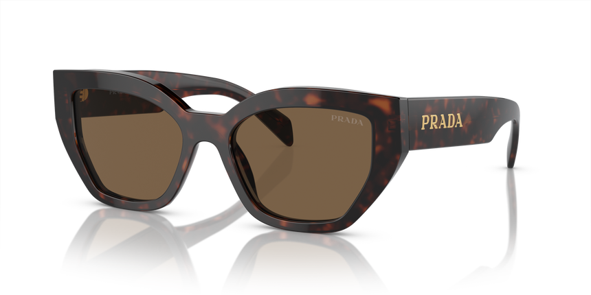 PRADA-A09S/S 16N5Y1 BROWN 53*18, Carey de brezo, hi-res image number 0
