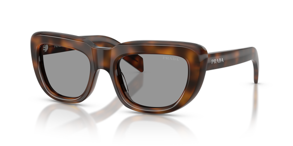 prada-d07s/s 20d50q juniper tortoise(grey 53*20