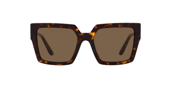 GABBANA-4446B/S 502/73 HAVANA(DARK BROWN 53*19, Havana, hi-res 1