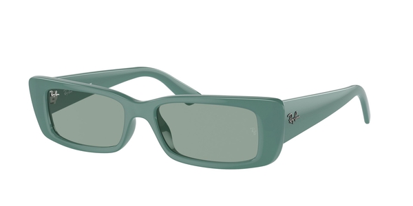 ray-ban teru rb 4425