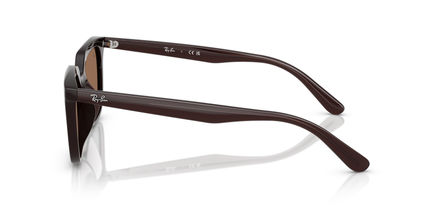 RB-4439D 623173 OPAL BROWN(DARK BROWN 54*21, Marrón Ópalo, hi-res image number 2