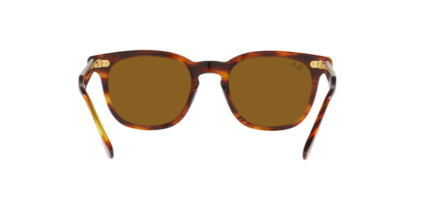 ray-ban hawkeye rb 2298