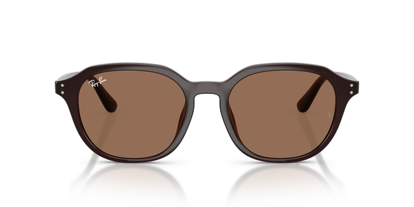 RB-4459D 6231/73 BROWN 54*19, Marr&oacute;n &oacute;palo, hi-res 1