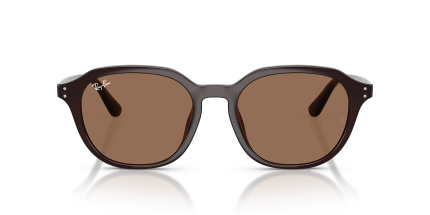 RB-4459D 6231/73 BROWN 54*19, Marr&oacute;n &oacute;palo, hi-res image number 1