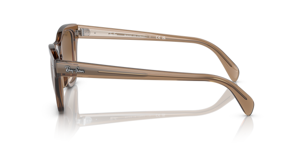 RB-0707S 664051 TRANSPARENT LIGHT BROWN(CLEAR GRADIENT BROW 53*21, Marron, hi-res 2