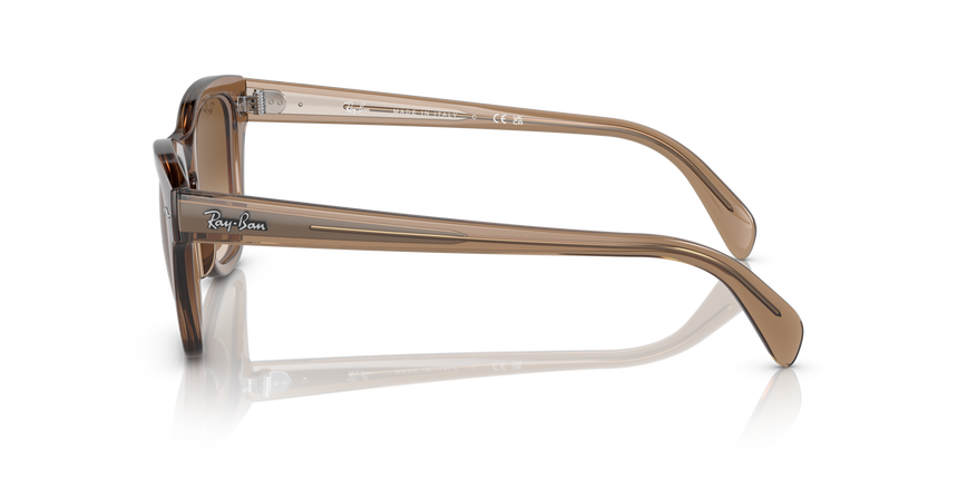 RB-0707S 664051 TRANSPARENT LIGHT BROWN(CLEAR GRADIENT BROW 53*21, Marron, hi-res image number 2