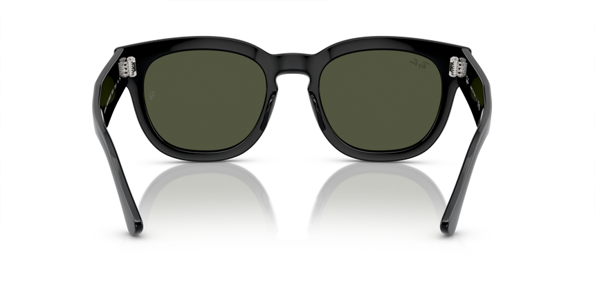 RB-0298S 901/31 BLACK(GREEN 53*21, , hi-res image number 3