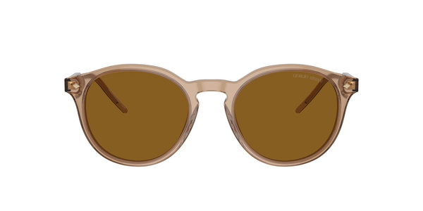 armani-8211/s 607233 trasparent brown(brown 52*20