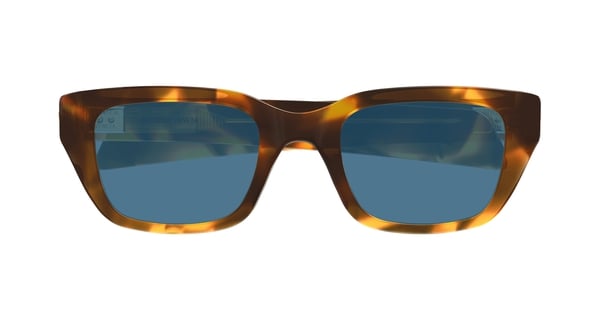 bottega-1393s/s 006 havana-havana (light blue 50*22
