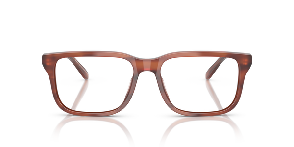 emporio-3250u/g 6203 shiny havana brown 56*17