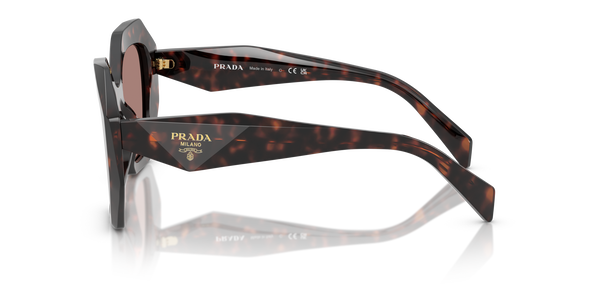 PRADA-16WS/S 17N60B ROOT TORTOISE(LIGHT BROWN 53*20, Carey raíz, hi-res 2