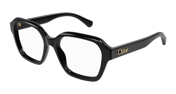 chloé ch 0272o